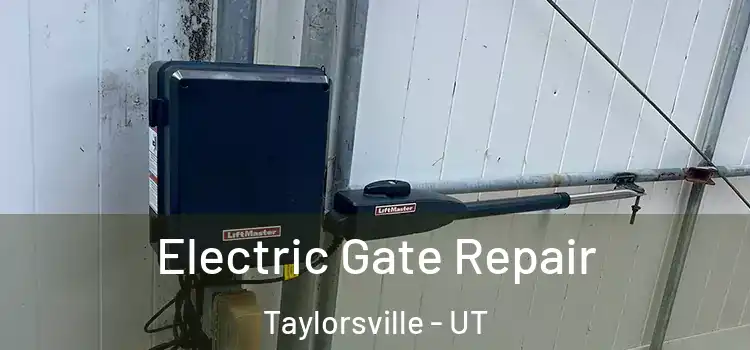 Electric Gate Repair Taylorsville - UT