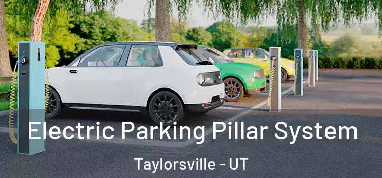 Electric Parking Pillar System Taylorsville - UT