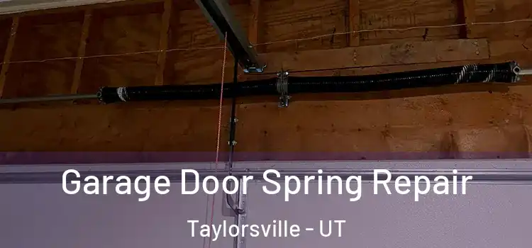  Garage Door Spring Repair Taylorsville - UT