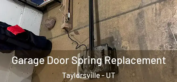  Garage Door Spring Replacement Taylorsville - UT
