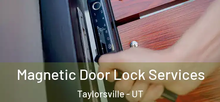 Magnetic Door Lock Services Taylorsville - UT