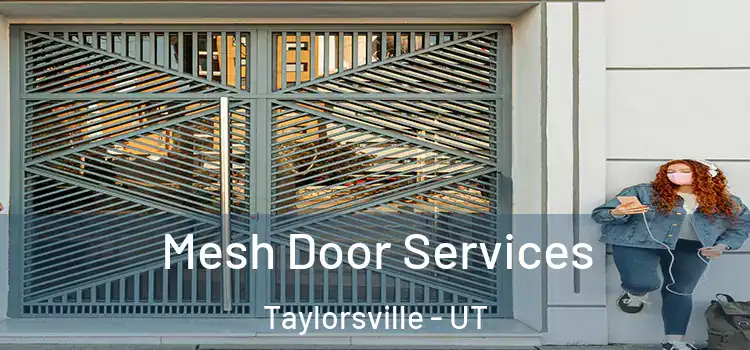 Mesh Door Services Taylorsville - UT